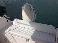 Sul ponte