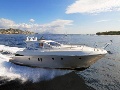 Salpa Laver 50.5