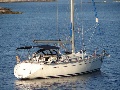 Elan 38