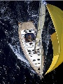 Bird view