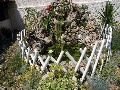 Dettaglio nel giardino